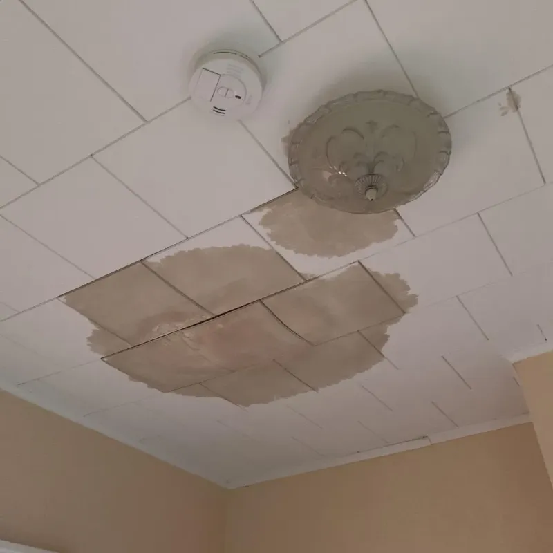 Ceiling Water Damage Repair in Yolo County, CA